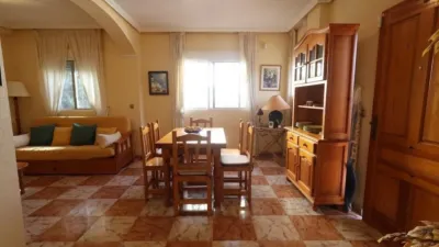 House in Playa Flamenca photo 10