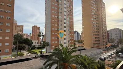 Apartment in Juzgados photo 14