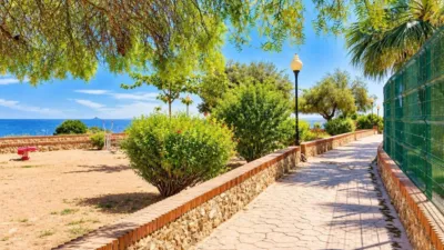 Apartment in Cabo Roig photo 23