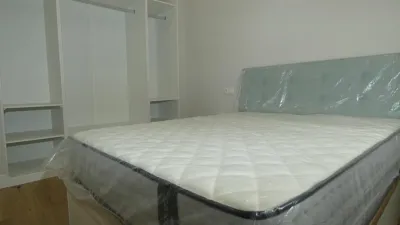Apartment in San Vicente de Barakaldo photo 13