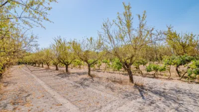 Rustic Finca in South Of Spain photo 33