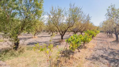 Rustic Finca in South Of Spain photo 31