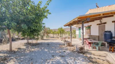 Rustic Finca in South Of Spain photo 21