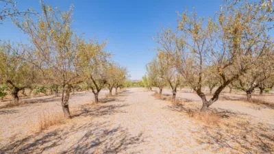 Rustic Finca in South Of Spain photo 38