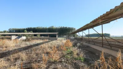 House in Vega de Granada, Northwest Zone photo 13