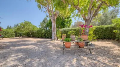 Chalet in Son Gual photo 44