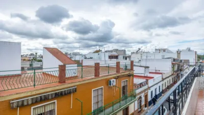 Apartment on Pamplona Street photo 15