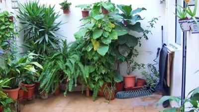 Apartment on Calle de Cuenca photo 14
