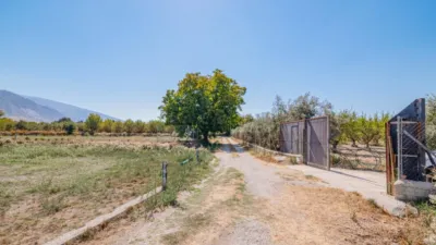 Rustic Finca in South Of Spain photo 26