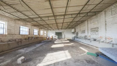 House in Vega de Granada, Northwest Zone photo 23
