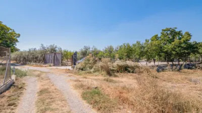 Rustic Finca in South Of Spain photo 28