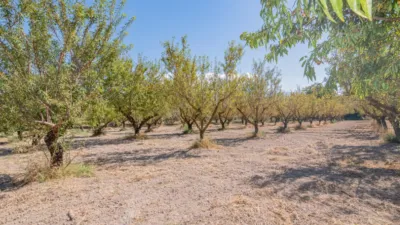 Rustic Finca in South Of Spain photo 43
