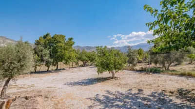 Rustic Finca in South Of Spain photo 24