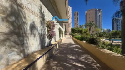 Apartment in Playa de Poniente photo 26