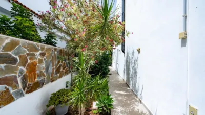 House on Camino Vereda Chica photo 12