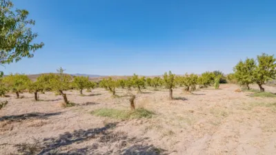 Rustic Finca in South Of Spain photo 45
