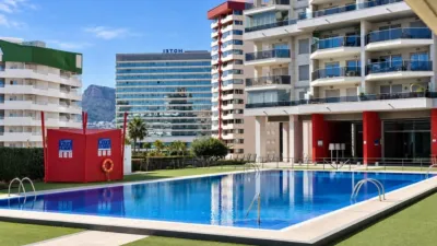 Studio in Playa de Levante photo 2