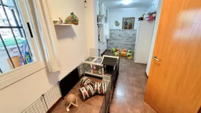 Chalet in Catalonia photo 36