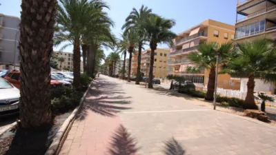 Apartment on Carrer del Pintor Segrelles photo 27