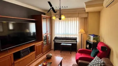 Penthouse on Calle Escalante photo 4
