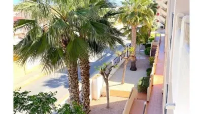 Apartment in La Zenia photo 18