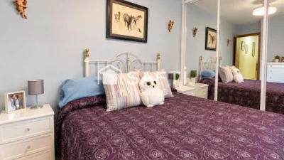 Apartment in Les Roquetes photo 7