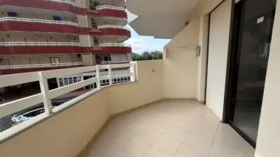 Apartment on Carrer del Pintor Segrelles photo 5