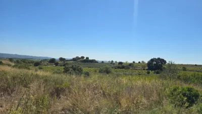 House in Catalonia photo 43