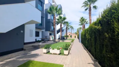 Penthouse in El Raso photo 31