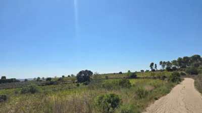 House in Catalonia photo 44