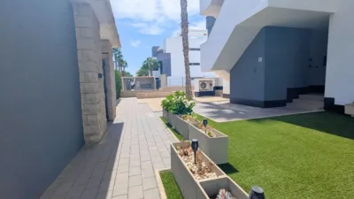 Penthouse in El Raso photo 32