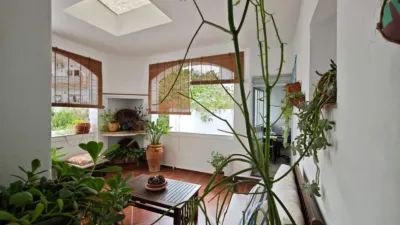 House on Calle de la Plata photo 54