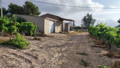Chalet in Novelda photo 2