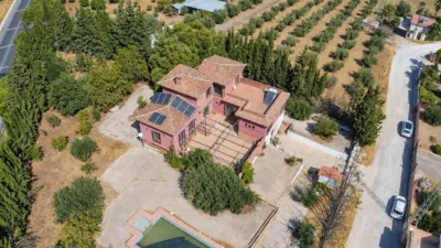 Rustic finca on Campiñuela Street photo 57