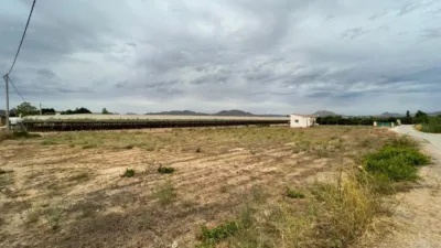 Chalet en Aspe photo 12