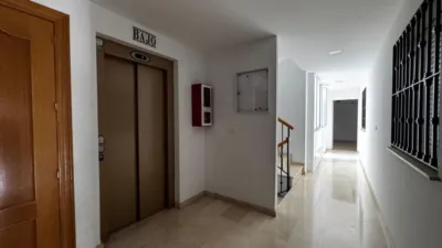 Apartment in South Of Spain photo 9