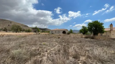 Chalet in Hondón de los Frailes photo 19