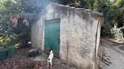 Rustic Finca in Coín photo 20