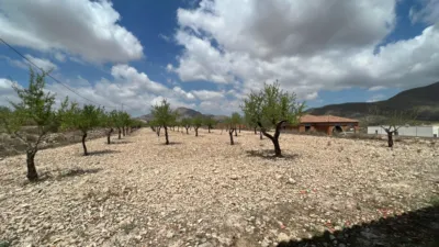 Chalet in Hondón de los Frailes photo 35