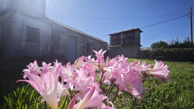 House in Magalofes photo 8