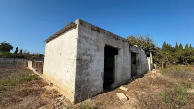 Rustic Finca in Pelagatos - Pago del Humo photo 3