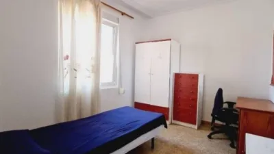 Apartment in La Mata photo 8
