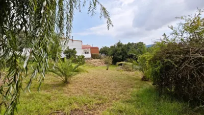 Rustic Finca on Teide Street photo 16