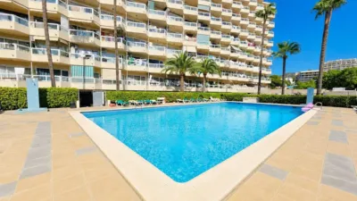 Apartment in Palmanova photo 8