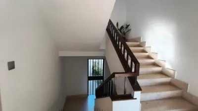 Apartment on Calle Principal photo 3
