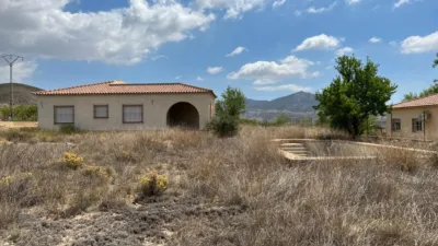 Chalet in Hondón de los Frailes photo 18