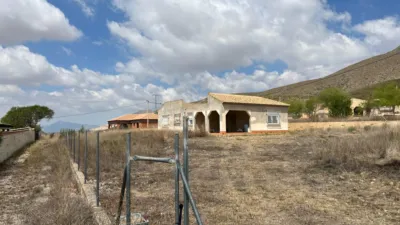 Chalet in Hondón de los Frailes photo 6