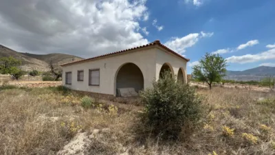 Chalet in Hondón de los Frailes photo 13
