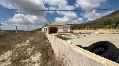 Chalet in Hondón de los Frailes photo 3