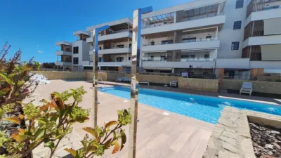 Apartment at Calle Pedag. Amelia Asensi Bevia, No. 1 photo 19